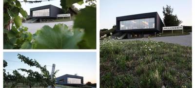 Foto von Weingut Leo Hillinger