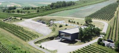 Foto von Weingut Leo Hillinger