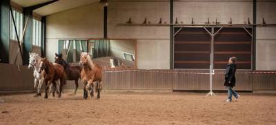 Foto von EQUI Connexion