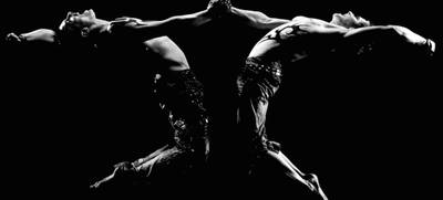 Foto von WITTROBIN Show Creations