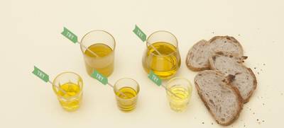 TRY FOODS GmbH & Co. KG