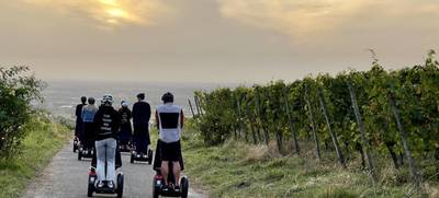 Foto von SEGWAY "Tour de Reben" ...nur in/bei Baden-Baden