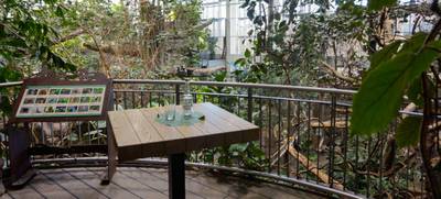 Foto von Marché im Zoologischen Stadtgarten Karlsruhe