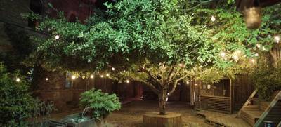Foto von ÆSTATE – The Afterwork Summer Garden Experience