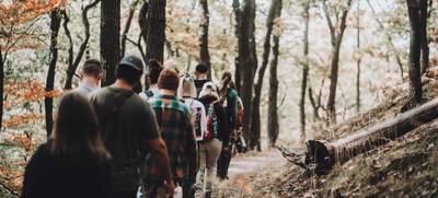Foto von Drei auf einen Streich – Erlebniswanderung & Teambuilding im Harz