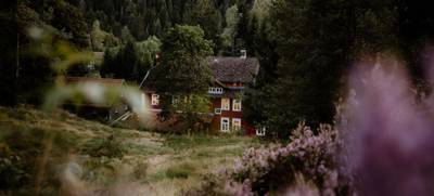 Foto von Mountainbike-Teamevent im Harz – Gemeinsam auf Tour