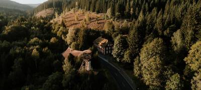 Foto von Mountainbike-Teamevent im Harz – Gemeinsam auf Tour