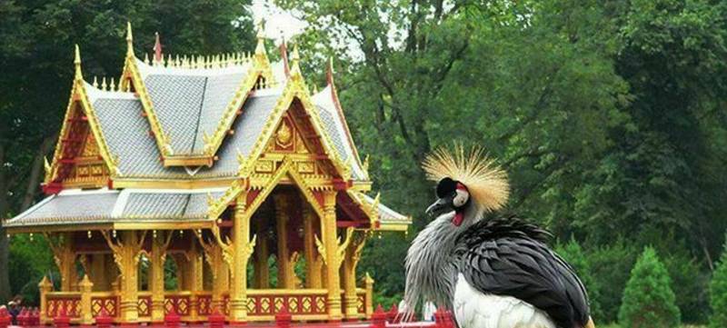 Foto 2 von Tierpark Hagenbeck 