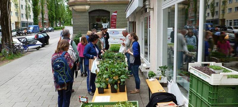 Foto 12 von Maienzeit Carrée – Forum