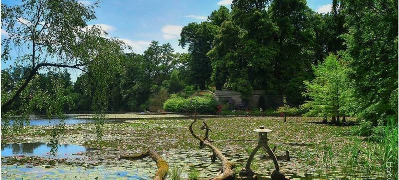 Foto 9 von Schloss Dennenlohe