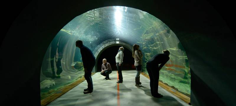Foto 1 von Ozeaneum - Nordsee