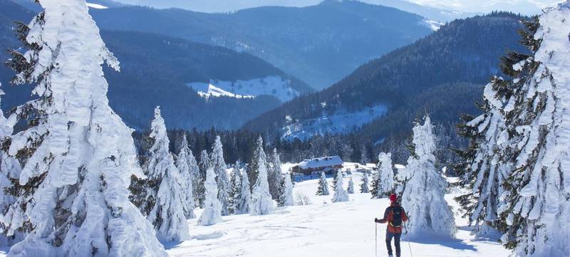 Foto 2 von Schneeschuhwanderung