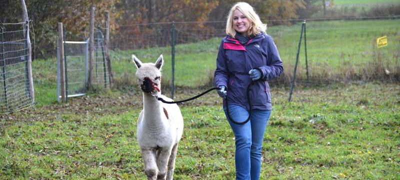 Foto 3 von Kleine Auszeit mit Alpakas