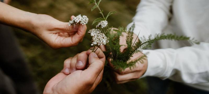 Foto 1 von Wild auf Kräuter – Kräuterwanderung & Naturworkshop im Harz